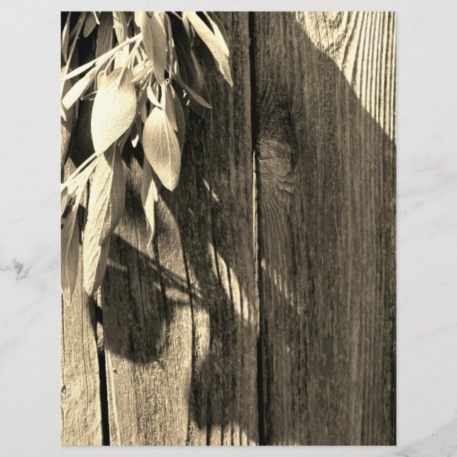 Färskskuren Sage Barn-wood Grayscale (Framsida)