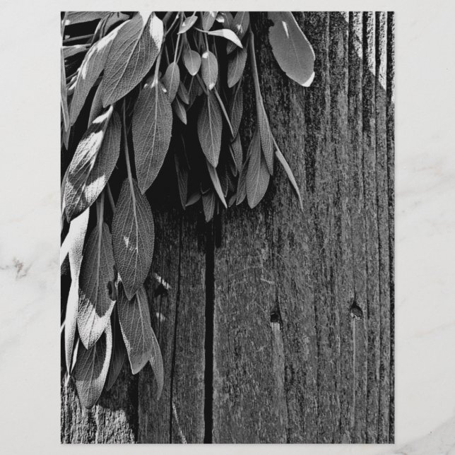 Färskskuren Sage Barn-wood Grayscale (Framsida)