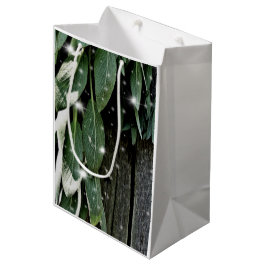 Färskskuren Sage Barn-wood Twinkle Ljus