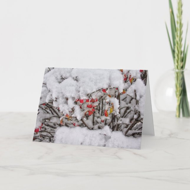 Färskt anteckningskort för Snö (Framsida)