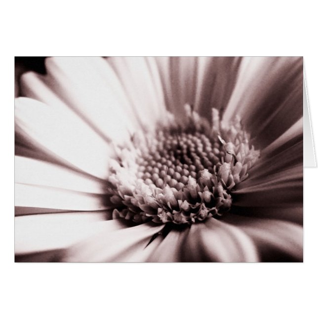 Färskt Orange (monokort) Hälsningskort (Framsidan Horizontal)