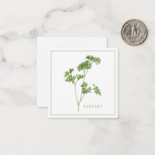 FÄRSKT PARSLEY 2,5-tums Fyrksidigt, platt kort