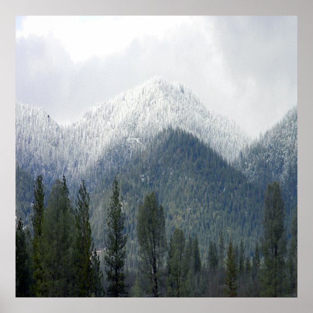 Färskt pulveriserat snö.... poster (Framsidan)