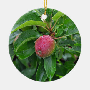 Färskt rött äpple på träd julgransprydnad keramik