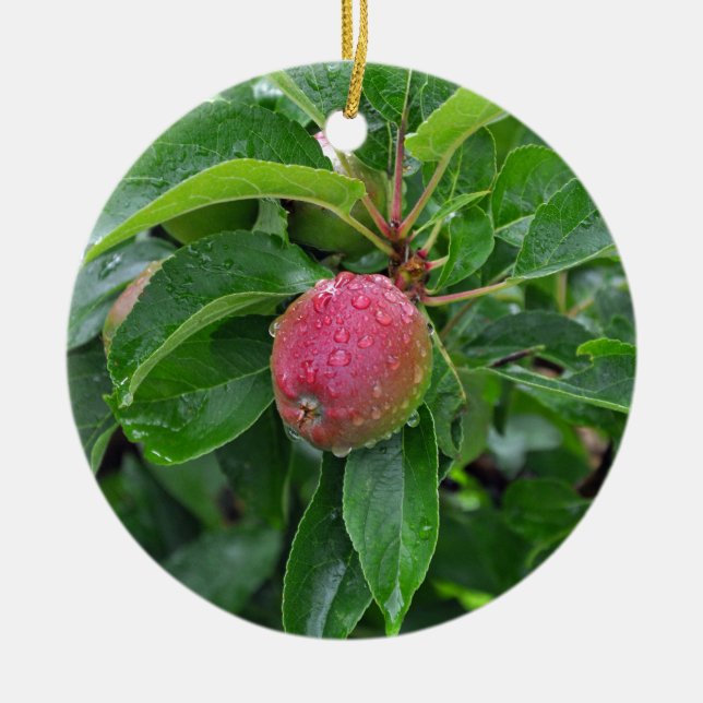 Färskt rött äpple på träd julgransprydnad keramik (Framsidan)