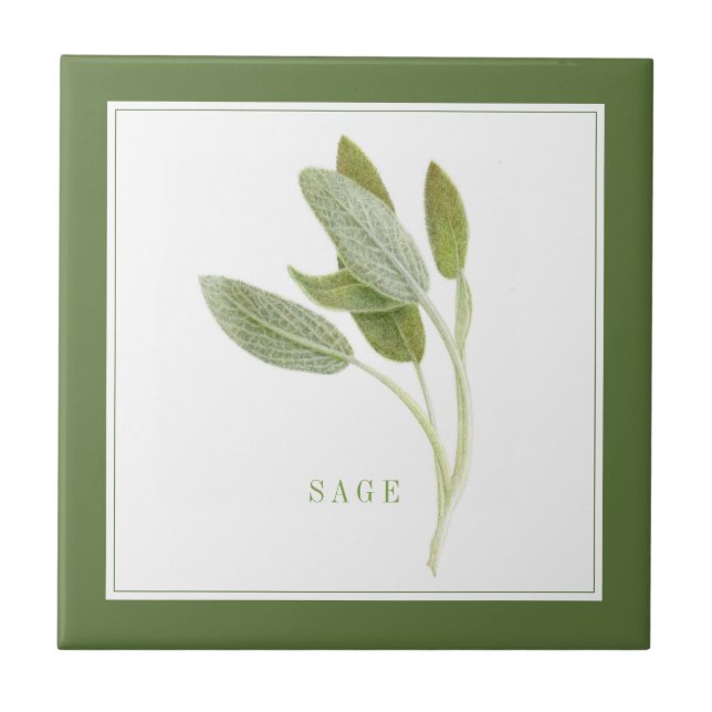 FÄRSKT SAGE 4.25x4.25 keramisk platta (+text)-Grön Kakelplatta (Framsidan)