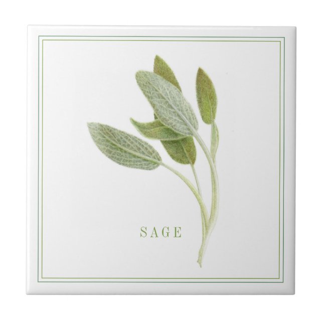 FÄRSKT SAGE 4.25x4.25 Keramiskt plattor (+text) Kakelplatta (Framsidan)