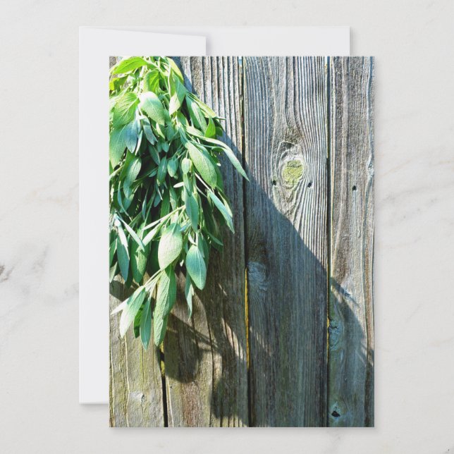 Färskt sågvirke, barn-wood (Framsida)