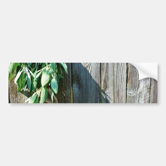 Färskt sågvirke, barn-wood bildekal (Framsidan)