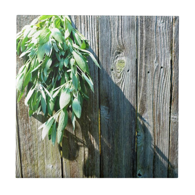 Färskt sågvirke, barn-wood kakelplatta (Framsidan)