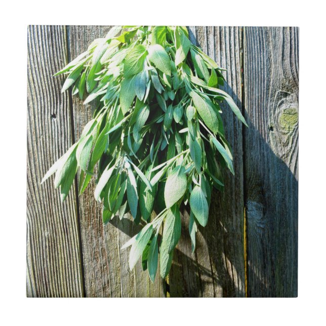 Färskt sågvirke, barn-wood kakelplatta (Framsidan)