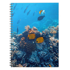Fartfotografi av marina djur (Nautical Photos Mari Anteckningsbok
