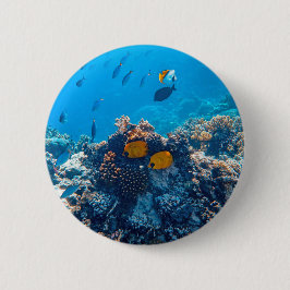 Fartfotografi av marina djur (Nautical Photos Mari Knapp