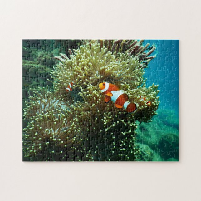 Fartfotografi av marina djur (Nautical Photos Mari Pussel (Horisontell)