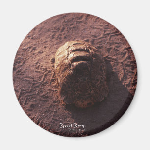 Farthinderare Magnet