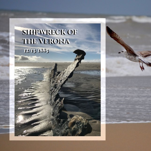 Fartygsolyckan Verona Spiekeroog Island, Öster Fri Vykort (Skapare uppladdad)