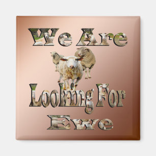 Fårungepun Tittar för Ewe, Fridge Magnet