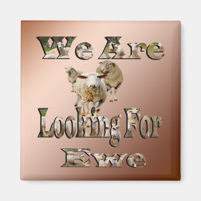 Fårungepun Tittar för Ewe, Fridge Magnet (Framsidan)