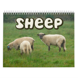 Fårväggkalender Kalender