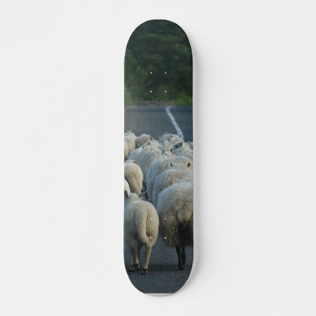 FårvägLambs Skateboard Bräda 20,5 Cm (Framsida)