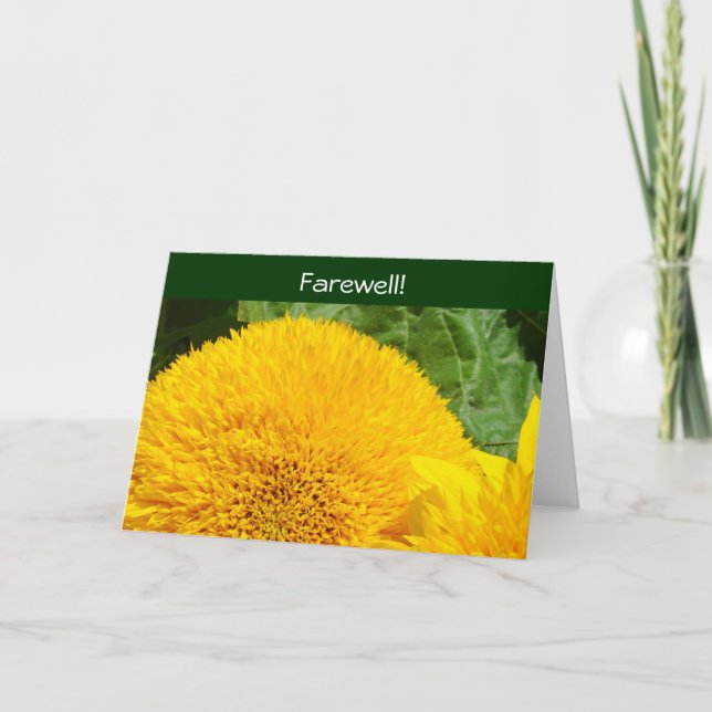 Farväl! Kort Bra hej, vi kommer att sakna dig! Sol (Framsida)
