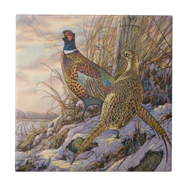 fasan kakelplatta (Framsidan)