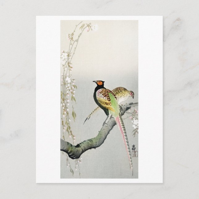 Fasaner och körsbärsblom - Ohara Koson - Vykort (Framsida)