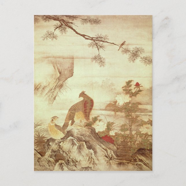 Fasaner och ponnyer från en rad scrollsar vykort (Framsida)