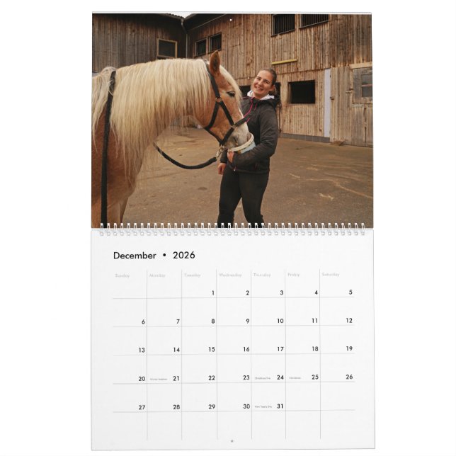 Fascination Haflinger Kalender (Dec 2026)