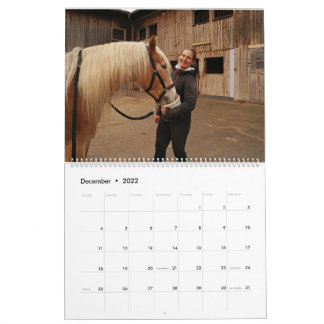 Fascination Haflinger Kalender