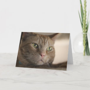 Fascinerad Kort