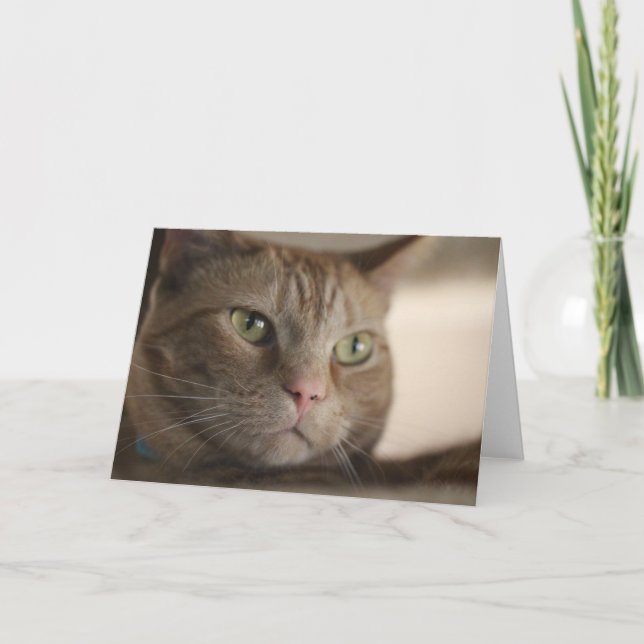 Fascinerad Kort (Framsida)