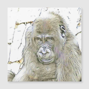 fascinerande ändrade djur - Gorilla