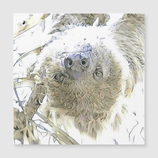 fascinerande ändrade djur - Sloth (Framsida)