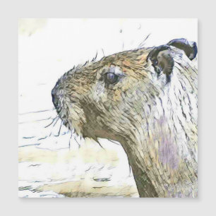 fascinerande djur - Capybara