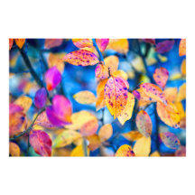 Fascinering av Cotonou-Löv