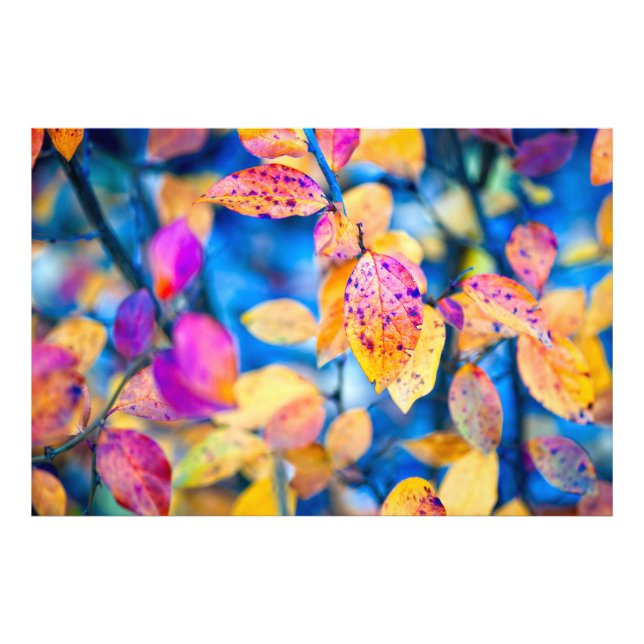 Fascinering av Cotonou-Löv Fototryck (Framsidan)