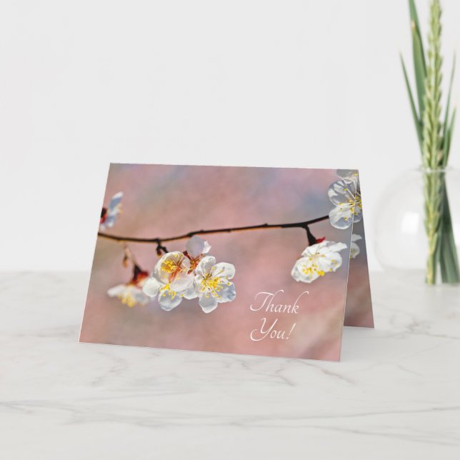 Fascinering av japanska Apricot Flowers Tack Kort (Framsida)