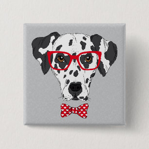 Fashionable Dalmatien Knapp