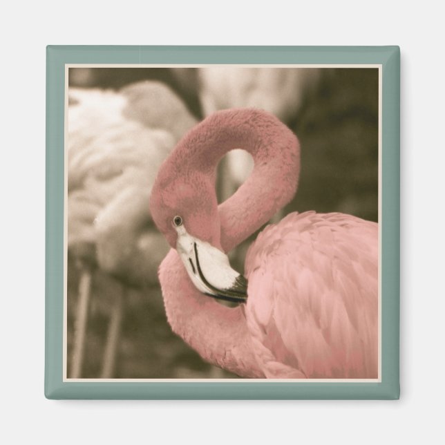 Fashionable Flamingo Magnet (Framsidan)