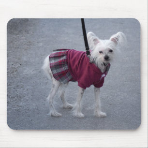 Fashionable Powderpuff Musmatta