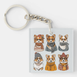 Fashionable Welsh Corgi Hundar