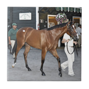 Fasig Tipton valda Salar på Saratoga Kakelplatta