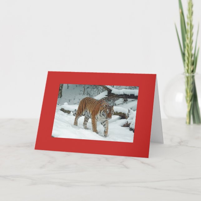 Fäst anteckningskortets TIGER I SNÖ Anteckningskort (Framsida)