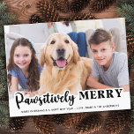 Fäst foto för modern anpassad Pet-Hund Vykort<br><div class="desc">Vi presenterar vår nya helgdagskort, perfekt för familjer med hårigets vänner! Vår "Pawsitively Merry"-samling har en mängd roligt och festliga utformningar som visar dina älskade husdjur på ett sött och lekfullt sätt. Oavsett om du har en hund eller en katt kan du välja mellan ett urval av moderna, roliga, reflekterande,...</div>