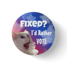 Fast? Jag röstar hellre