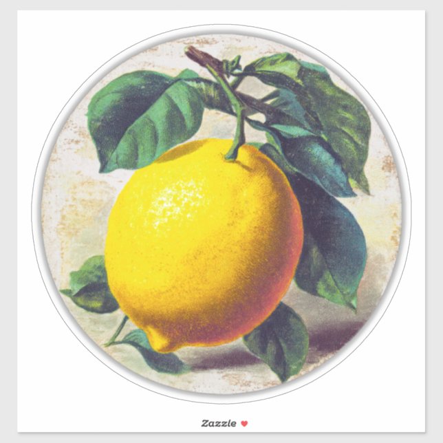 Fäst Klistermärken (Ark)