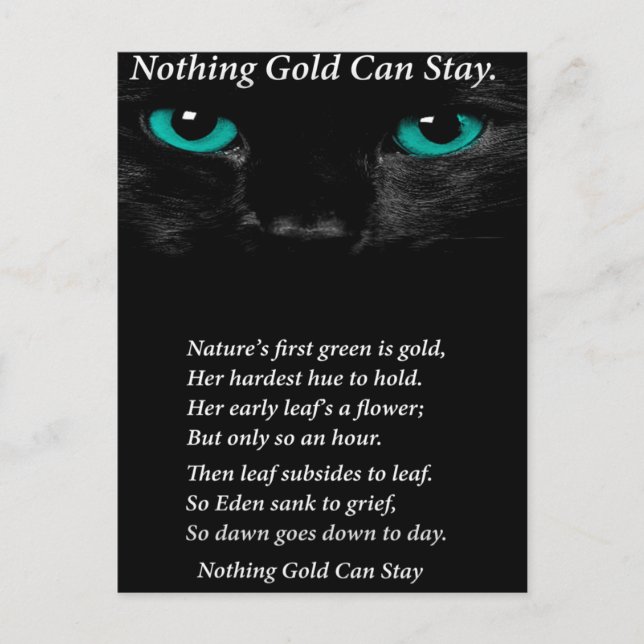 Fast Öga Vykort (Framsida)