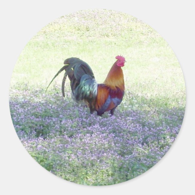 Fäst Pride-etikett Runt Klistermärke (Framsida)