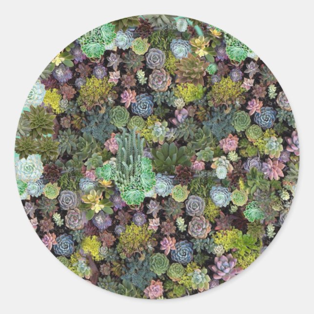 Fäst Runt Klistermärke (Framsida)